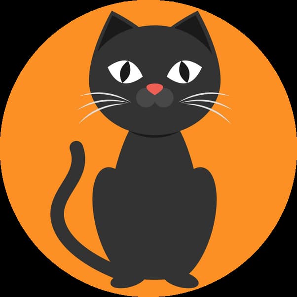 CatsBuz